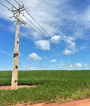 WhatsApp Image 2026-01-15 at 09.57.57