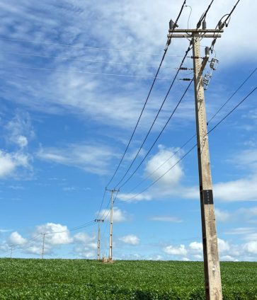 WhatsApp Image 2026-01-15 at 09.57.58